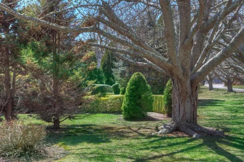 The Hamilton Hoppin House, Villa 120 Newport, Ri Middletown Dış mekan fotoğraf