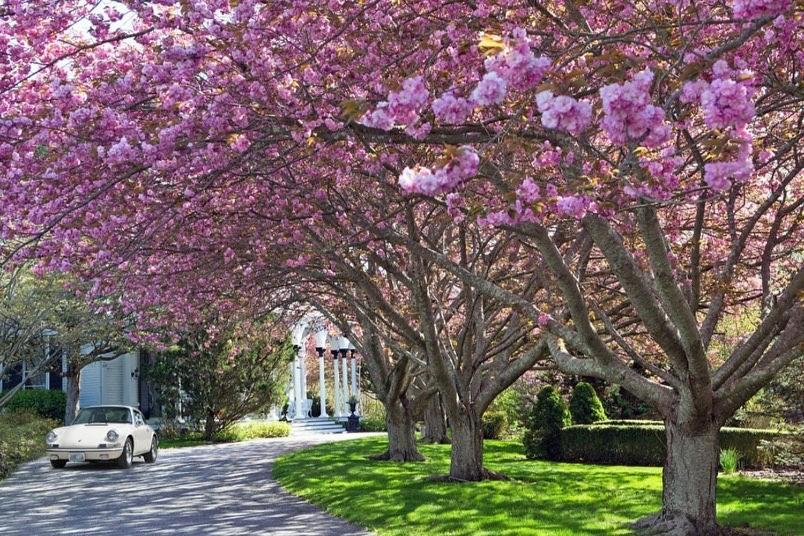 The Hamilton Hoppin House, Villa 120 Newport, Ri Middletown Dış mekan fotoğraf